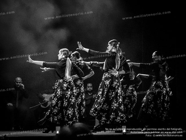 ETER.COM - Conservatorio Profesional de Danza Fortea - Día Internacional del Flamenco - Teatro Flamenco Madrid - © Emilio Tenorio